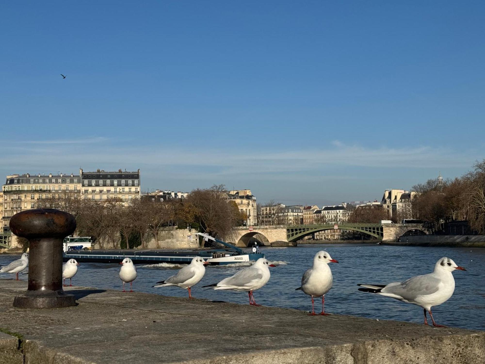 New Private Apartment Paris City Center - Les Arenes Pantheon Notre-Dame Jussieu Jardin Des Plantes Quai De Seine Exterior foto